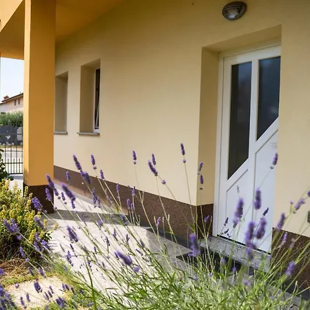 Apartments Dani Izola Exterior photo